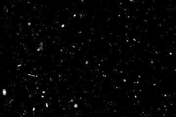 Abstract cosmic background with specks resembling stars and galaxies.