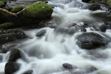 waterfall in the forest