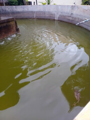 Green Water Tank with Ripples