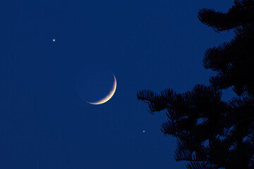 Crescent young Moon with stars, planets and rural countryside tree silhouettes.
