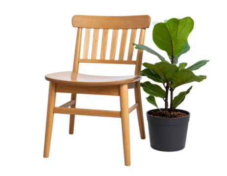 Minimalist Scandinavian Style Wooden Chair with Potted Green Plant, Front View, Isolated PNG