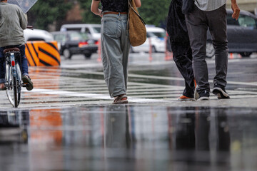 Urban rain scene. Women dressed in faded jeans with big woven straw shoulder bag is focus of pedestrians waiting in rain at busy zebra crossing. Wet pavement and reflects surrounding elements.