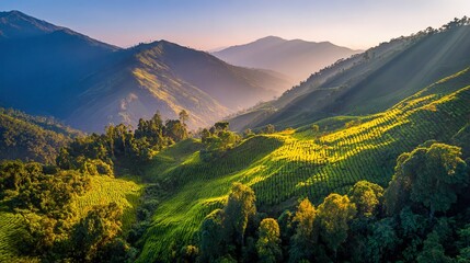 Obraz premium Lush Green Valley with Rolling Hills, Majestic Mountains, and Dramatic Sunlight in Southeast Asia