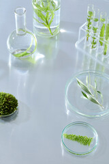 Several round and tall glass vessels with green plants submerged in water, styled for botanical laboratory product advertising.