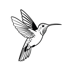 Flying Hummingbird Silhouette Vector – Elegant Tropical Bird Black Icon Design