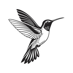 Flying Hummingbird Silhouette Vector – Elegant Tropical Bird Black Icon Design