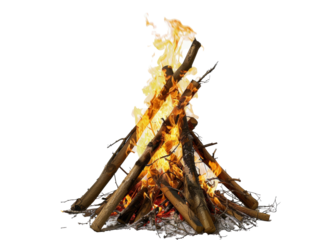 Campfire burning brightly at night under a starry sky in a remote forest setting near a peaceful lake