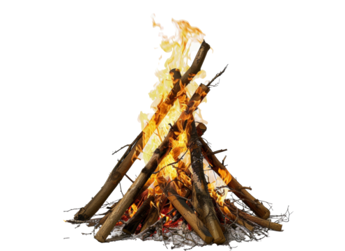 Campfire burning brightly at night under a starry sky in a remote forest setting near a peaceful lake