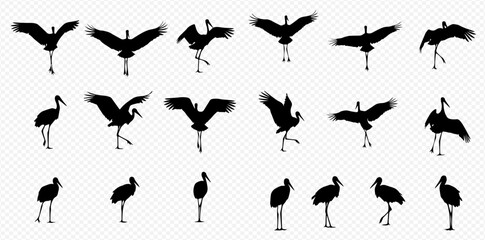 A set of black stork silhouettes in various dynamic poses, showing the bird dancing, flapping its wings, walking, and standing still.