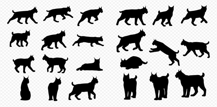 A collection of black lynx silhouettes showing the wild cat in various poses like walking, running, jumping, and sitting.
