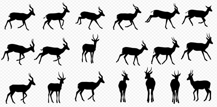 A sprite sheet of blackbuck antelope silhouettes showing various phases of movement, including walking, running, jumping, and standing poses.