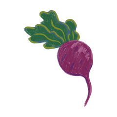 Bright beetroot with green leaves on a white background