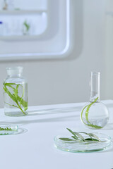 Vertical close-up of leafy stems placed in a transparent beaker, with a blurred lab background creating a calm and clinical atmosphere.