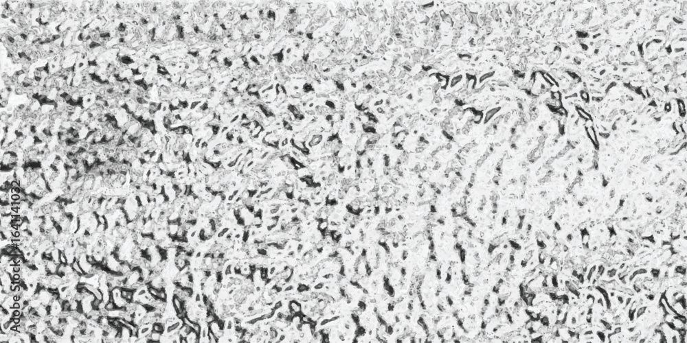 Poster abstract textured black and white background representing organic structures and detailed patterns i