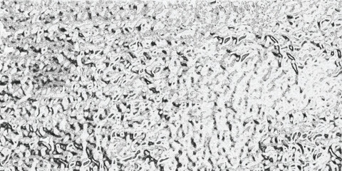 Abstract textured black and white background representing organic structures and detailed patterns in high resolution