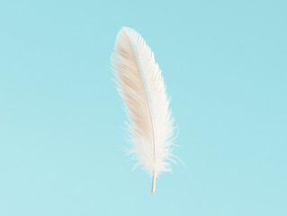 Obraz premium Feather abstract freedom on a blue background. Feathers floating in tranquility. 
