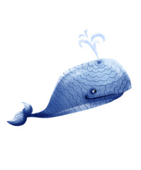 Summer blue whale illustration
