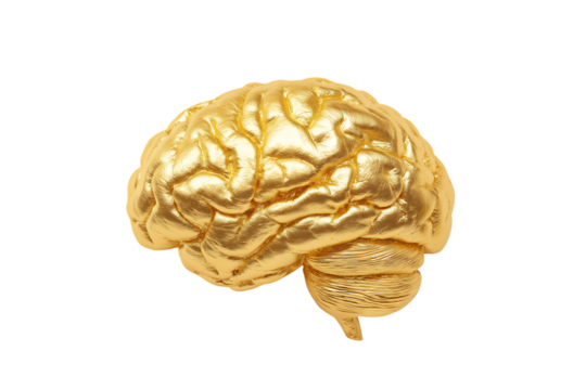 Shiny gold brain isolated on transparent background