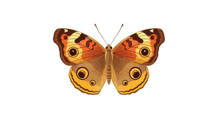 Elegant isolated illustration of a junonia almana, the peacock pansy butterfly