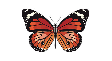 Obraz premium A Vector Illustration of a Striking Monarch Butterfly with Detailed Wings