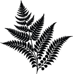 Naklejka premium Vector art of black fern leaf silhouette isolated on white background, elegant botanical graphic design element for decoration and illustration
