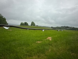 Fototapeta premium Long line of trees is visible in the distance