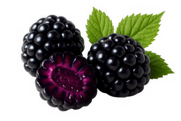 Juicy blackberries with green leaves a closeup view showing a berry cut in half revealing its deep purple interior