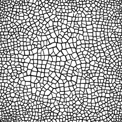 Obraz premium Minimalist black irregular cell pattern on a white background creating a mosaic like structure with distinct lines vector