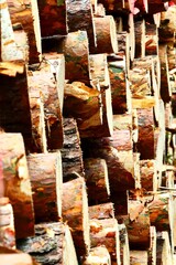 Stacked Wood Logs after harvesting Close-up of Cut Timber