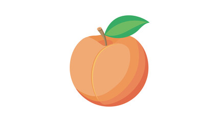 Illustration of a fresh peach isolated |  Vector Art
