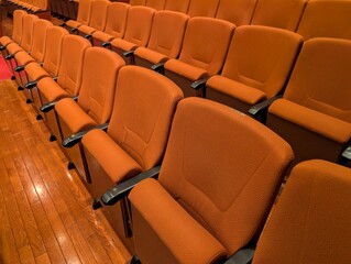 Fototapeta premium 音楽ホールの客席