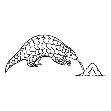 pangolin eating ants, black and white clip art preview