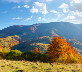 autumn mountain landscape in the afternoon. beautiful countryside in highlands of ukraine with...