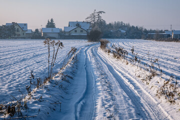 Rural road during winter in Rogow village, Lodz province of Poland