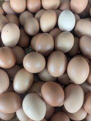 A close-up, high-resolution photograph of many chicken eggs in various shades of brown, lying on a bed of rice husks, natural lighting, realistic textures, soft shadows, rustic farm setting, ultra-det