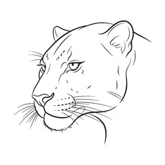 Classic Panther Line Art – Panther Vector Illustration Fine Drawing with Distinctive Big Cat Features – Panther Drawing – Line Art Drawing of Panther – Panther Icon

