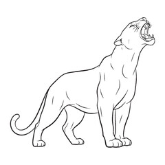 Majestic Panther Line Art – Panther Vector Outline Drawing with Refined Facial Details – Panther Drawing – Vector of Panther – Panther Outline

