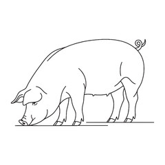 Gentle Pig Line Art – Pig Vector Outline Drawing with Simple Artistic Touch – Pig Drawing – Vector of Pig – Pig Outline

