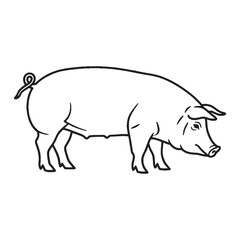 Baby Pig Line Art – Pig Vector Outline Drawing with Adorable Features – Pig Drawing – Vector of Pig – Pig Outline

