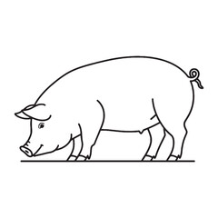 Modern Pig Line Art – Pig Vector Illustration Smooth Drawing with Clean Lines – Pig Drawing – Line Art Drawing of Pig – Pig Icon

