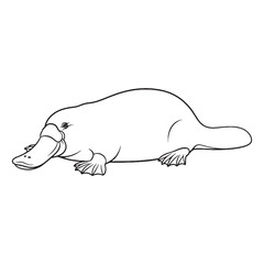 Iconic Water Animal Platypus Line Art – Platypus Vector Outline Drawing with Smooth Contours – Platypus Drawing – Vector of Platypus – Platypus Outline

