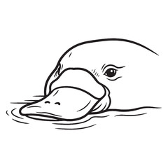 Stylized Wildlife Platypus Line Art – Platypus Vector Illustration Elegant Drawing with Sleek Shape – Platypus Drawing – Line Art Drawing of Platypus – Platypus Icon

