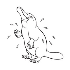 Unique Wildlife Platypus Line Art – Platypus Vector Outline Drawing with Smooth Detailing – Platypus Drawing – Vector of Platypus – Platypus Outline

