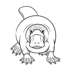 Clean Platypus Line Art – Platypus Vector Illustration Fine Drawing with Clear Outlines – Platypus Drawing – Line Art Drawing of Platypus – Platypus Icon


