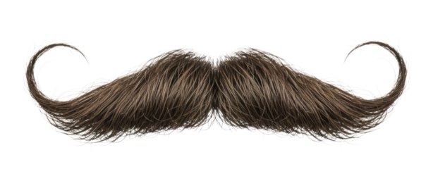 Brown mustache with curly ends on transparent background, cutout PNG
