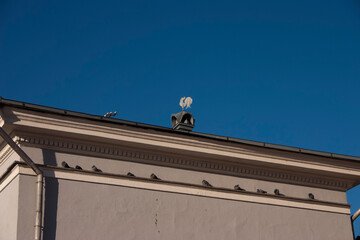 The roof of an old building with a bird on the roof.