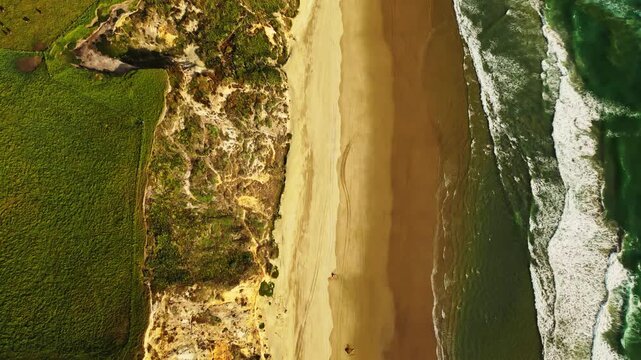 Aerial view of the coastline, where golden sand meets the turquoise sea, creating a mesmerizing contrast of colors and textures, Dargaville, Northland Region, New Zealand.