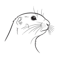 Fine Prairie Dog Line Art – Prairie Dog Vector Illustration Minimal Drawing with Clear Silhouette – Prairie Dog Drawing – Line Art Drawing of Prairie Dog – Prairie Dog Icon

