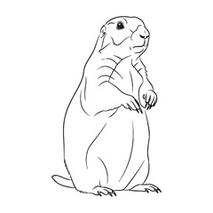 Natural Prairie Dog Line Art – Prairie Dog Vector Outline Drawing with Gentle Fur Details – Prairie Dog Drawing – Vector of Prairie Dog – Prairie Dog Outline

