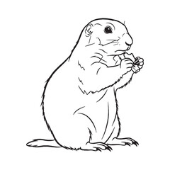 Artistic Prairie Dog Line Art – Prairie Dog Vector Illustration Fine Drawing with Modern Contours – Prairie Dog Drawing – Line Art Drawing of Prairie Dog – Prairie Dog Icon

